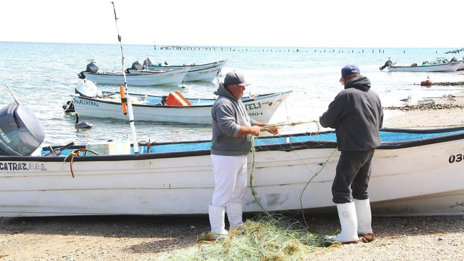 Pesca pescadores panga la paz